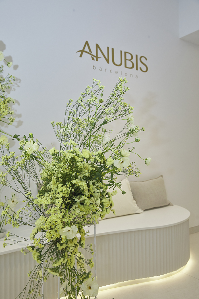 Inauguracion Anubis cover